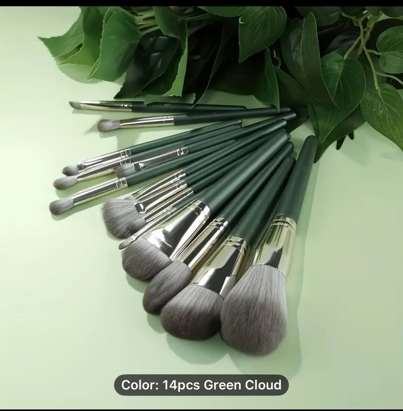 Make up Brushes